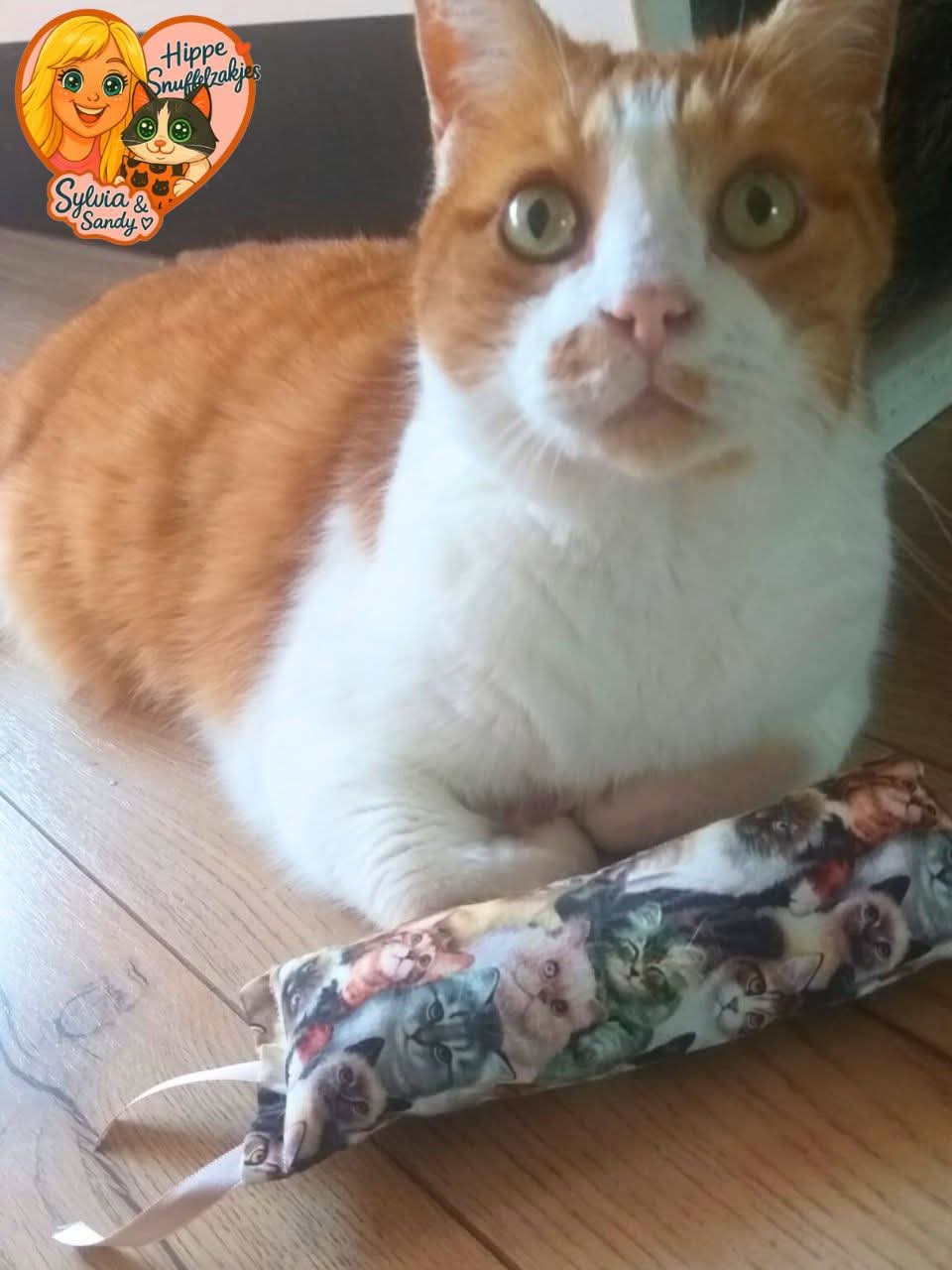 Snuffelzakje Gym knappe katten met lintjes (gevuld met geurexplosie, knisper en belletje)