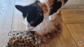 NIEUW/ Snuffelzakje  Wild animals met staart (gevuld met catnip én valeriaan)