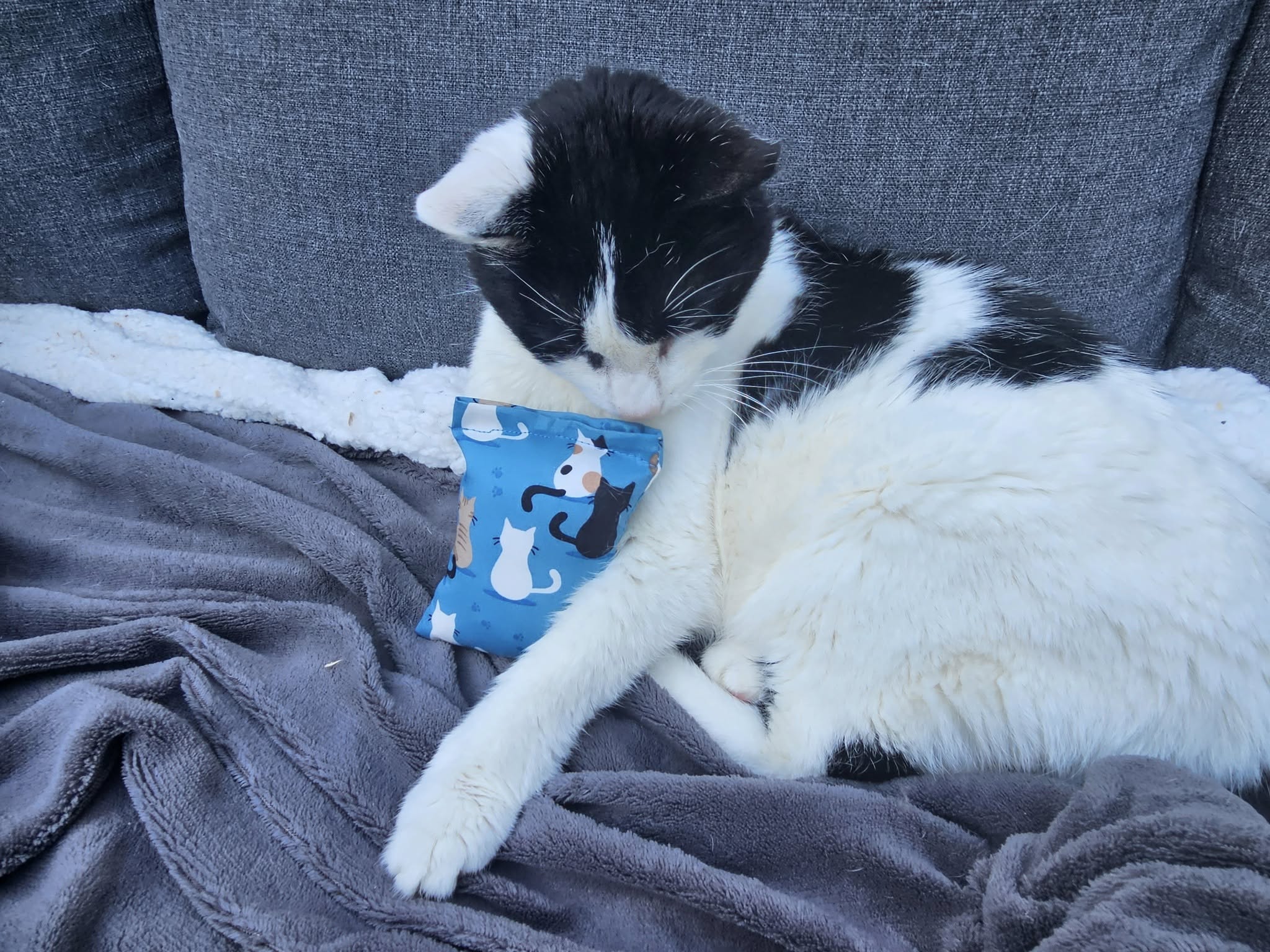 🐾 Wat is een snuffelzakje en waarom houden katten er zo van?
