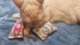 NIEUW/ 2 Snuffelzakjes Pink Panther & Catilicious (gevuld met matatabi))