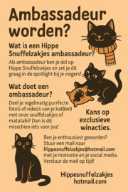 🧐🐈Word ambassadeur van Hippe Snuffelzakjes! 📸😻