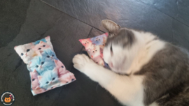 NIEUW/ 2 snuffelzakjes Fantasy cat+ roze (gevuld met matatabi)