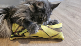๐ Gym XXL Snuffelzak โ Bananenprint / Gevuld met Geurexplosie