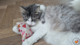 Snuffelzakje Schattige kat roze (gevuld met catnip én valariaan)