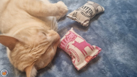 NIEUW/ 2 Snuffelzakjes Pink Panther & Catilicious (gevuld met matatabi))