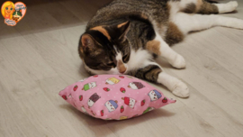 😻 GROOT KATTENSPEELGOED “ Zomer” – Slaap & Speelkussen met Geurexplosie