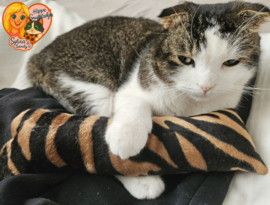 Snuffelzak Gym XXL Wild animals  (gevuld met geurexplosie)