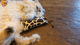 WILD ANIMALS 💙 All-in-One Snuffelzakje – Geurexplosie | Lintjes, Staart, Knisper & Belletje