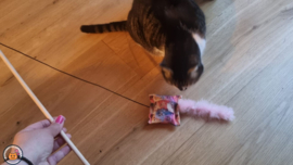 Pakmedan Fantasy Cats met roze staart (gevuld met valeriaan, knisper en belletje)