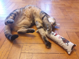 GROOT KATTENSPEELGOED/ Snuffelzak Gym XXL Funny cat (Gevuld met geurexplosie)