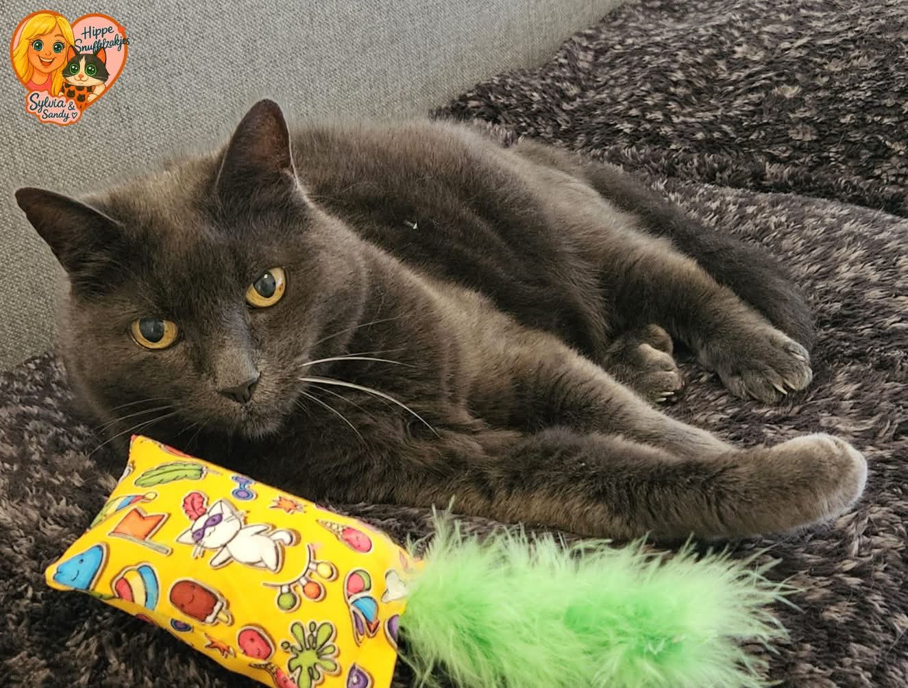 NIEUW/ Snuffelzakje  Zomerfestival met staart (gevuld met catnip én valeriaan)
