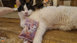 NIEUW/ Snuffelzakje Beautiful (gevuld met matatabi en catnip)