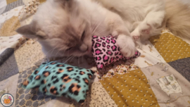 NIEUW/ 2 Snuffelzakjes Vrolijke Panter (gevuld met catnip én valeriaan)