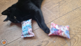 NIEUW/ 2 snuffelzakjes Fantasy cat+ roze (gevuld met matatabi)
