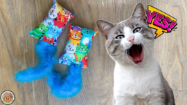 Snuffelzakje Geluid Vrolijke kat met blauwe staart  (gevuld met catnip, matatabi knisper)