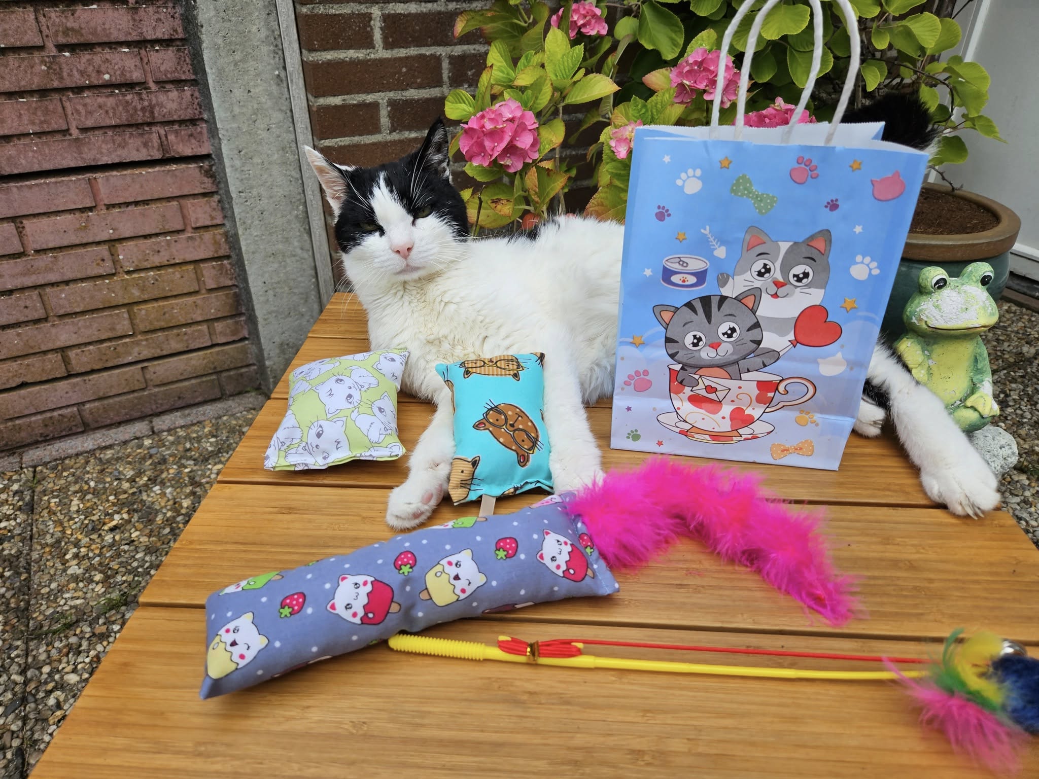 🎉 Feest in een Tasje – Vrolijke Verwenbox voor je Kat! 🎉