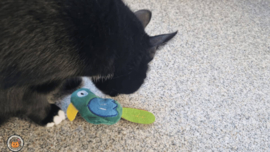 Snuffelvogel (gevuld met catnip én valeriaan)