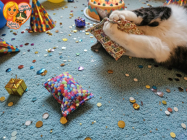 RUSTGEVEND / 2 Snuffelzakjes Verjaardag kat (gevuld met valeriaan)