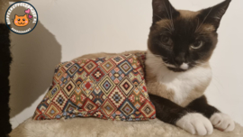Slaap/speelkussen Ibiza winter (gevuld met catnip én valeriaan, knisper en belletje