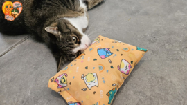 😻 GROOT KATTENSPEELGOED “Tommie” – Slaap & Speelkussen met Matatabi 🐾💤