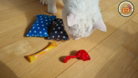 2 delige set Snuffelzakjes Verrassing Ster (gevuld met catnip én  valeriaan)+ 2 cadeautjes