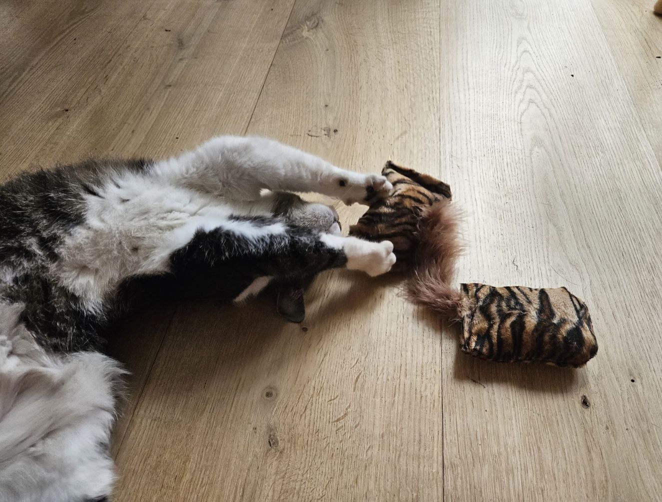 NIEUW/ 2deligeset Snuffelzakje s Wild animals met lintjes en staart (gevuld met valeriaan)