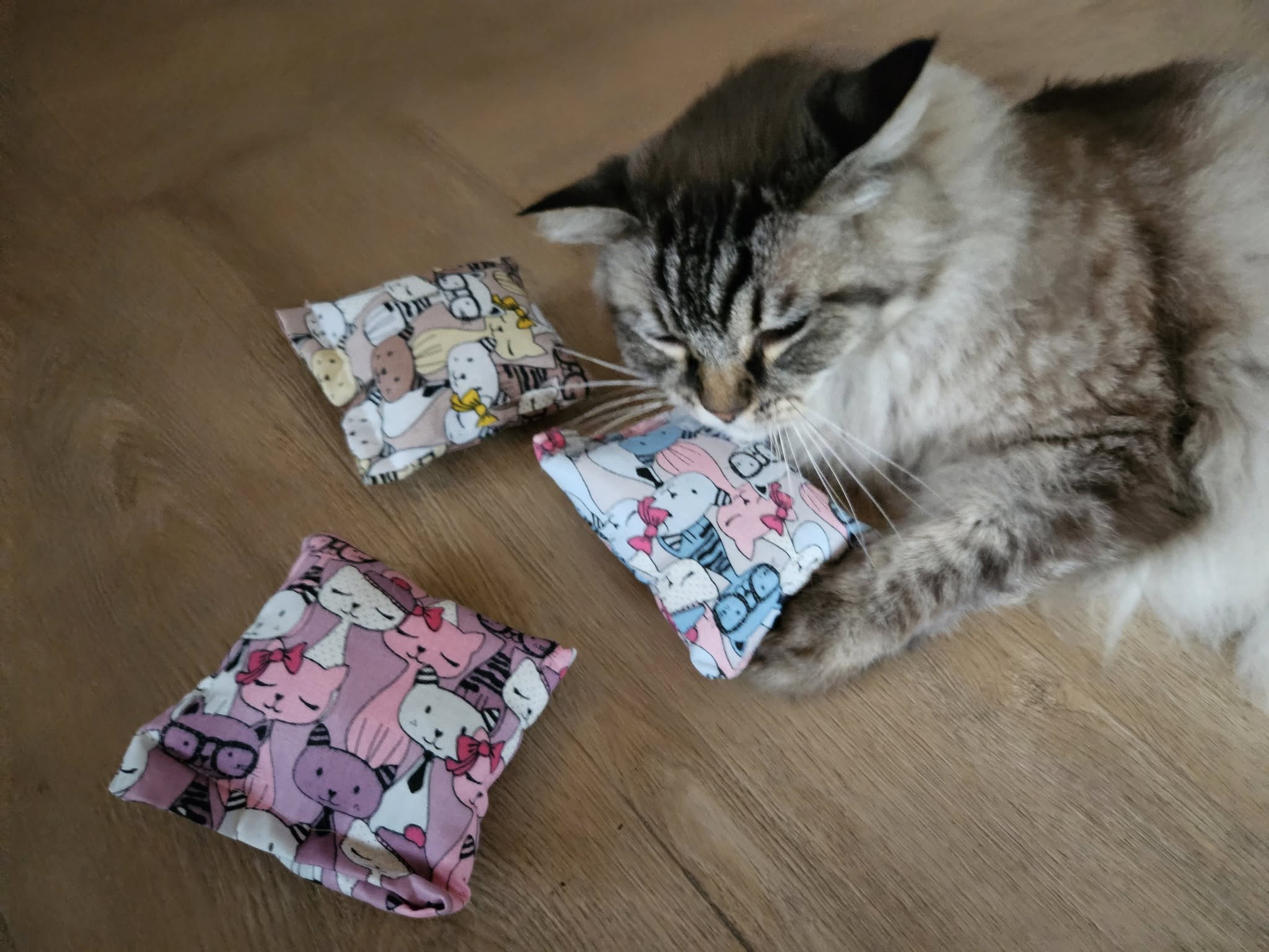 Set van 3 handgemaakte vierkante snuffelzakjes – gevuld met catnip! 😻