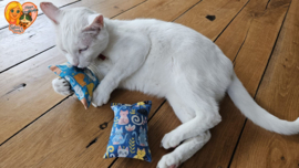 BEKEND VAN TIKTOK / Friemel– 2-delige snuffelzakjes set met catnip, valeriaan & matatabi (licht- en donkerblauw)