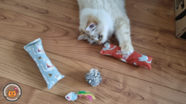 2 delige set snuffelzakjes gym Verrassing (gevuld met catnip ) + 2 cadeautjes