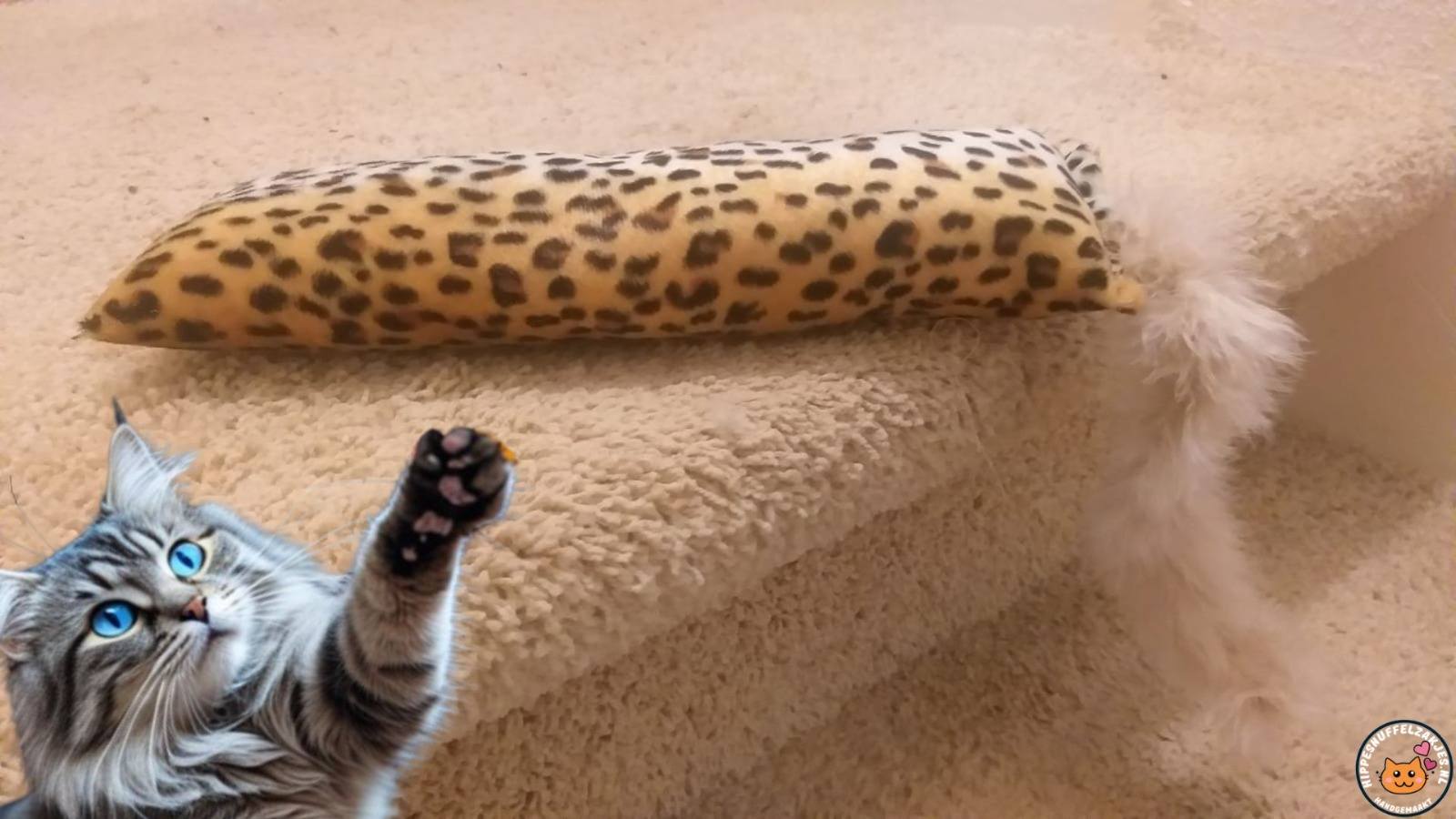 Snuffelzak Kat XXL – Wildprint met Staart (Matatabi en Catnip)