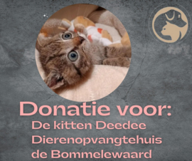 Verrassing pakket voor kitten Deedee (15 euro)