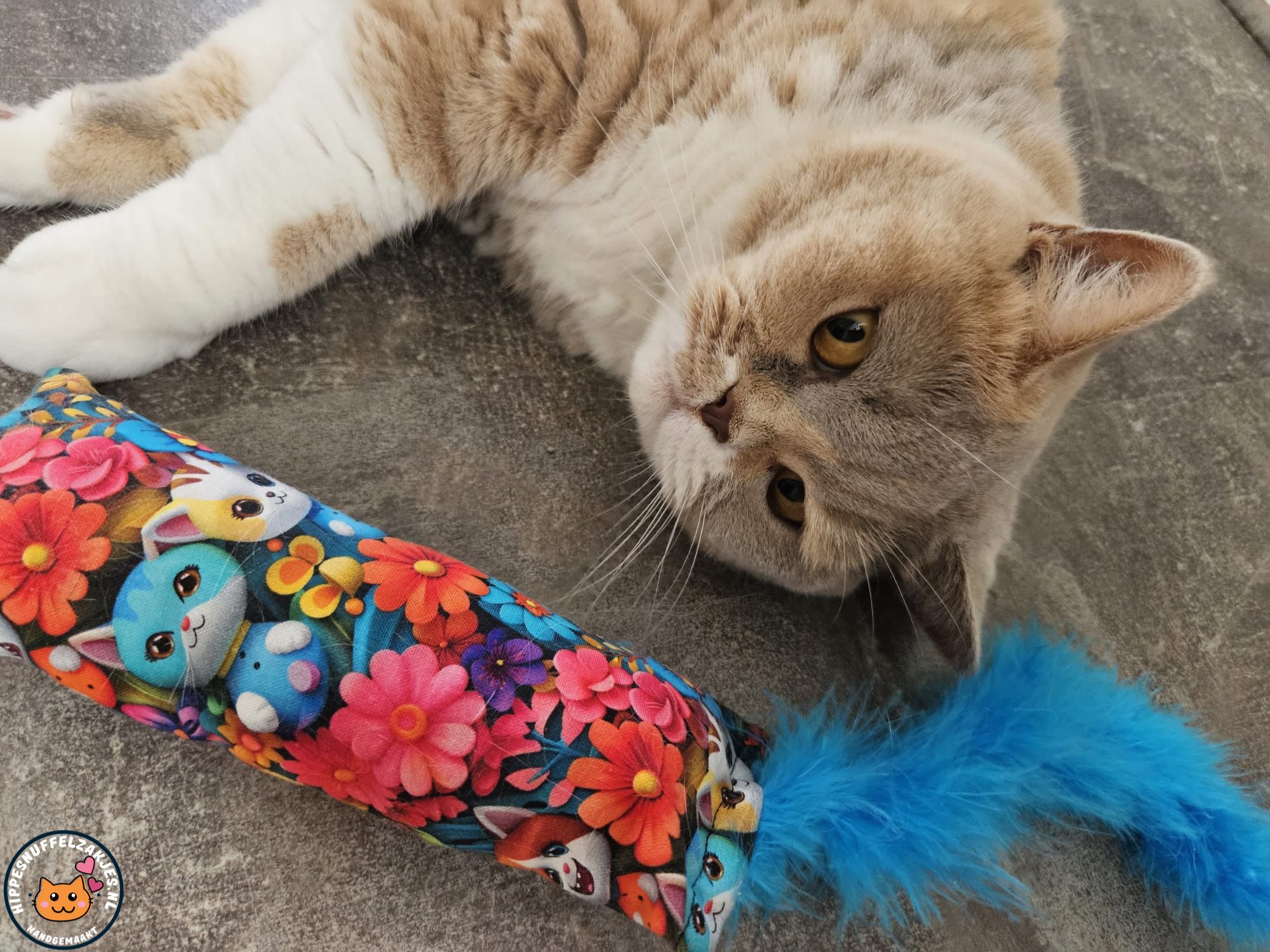Snuffelzakje gym Happy cat met oranje staart (gevuld met matatabi)
