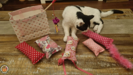 NIEUW/ 7 delige Mystery bag  Ultieme Experience Valentijn (vijf verschillende geuren, knisper, belletje, staart en lintjes)