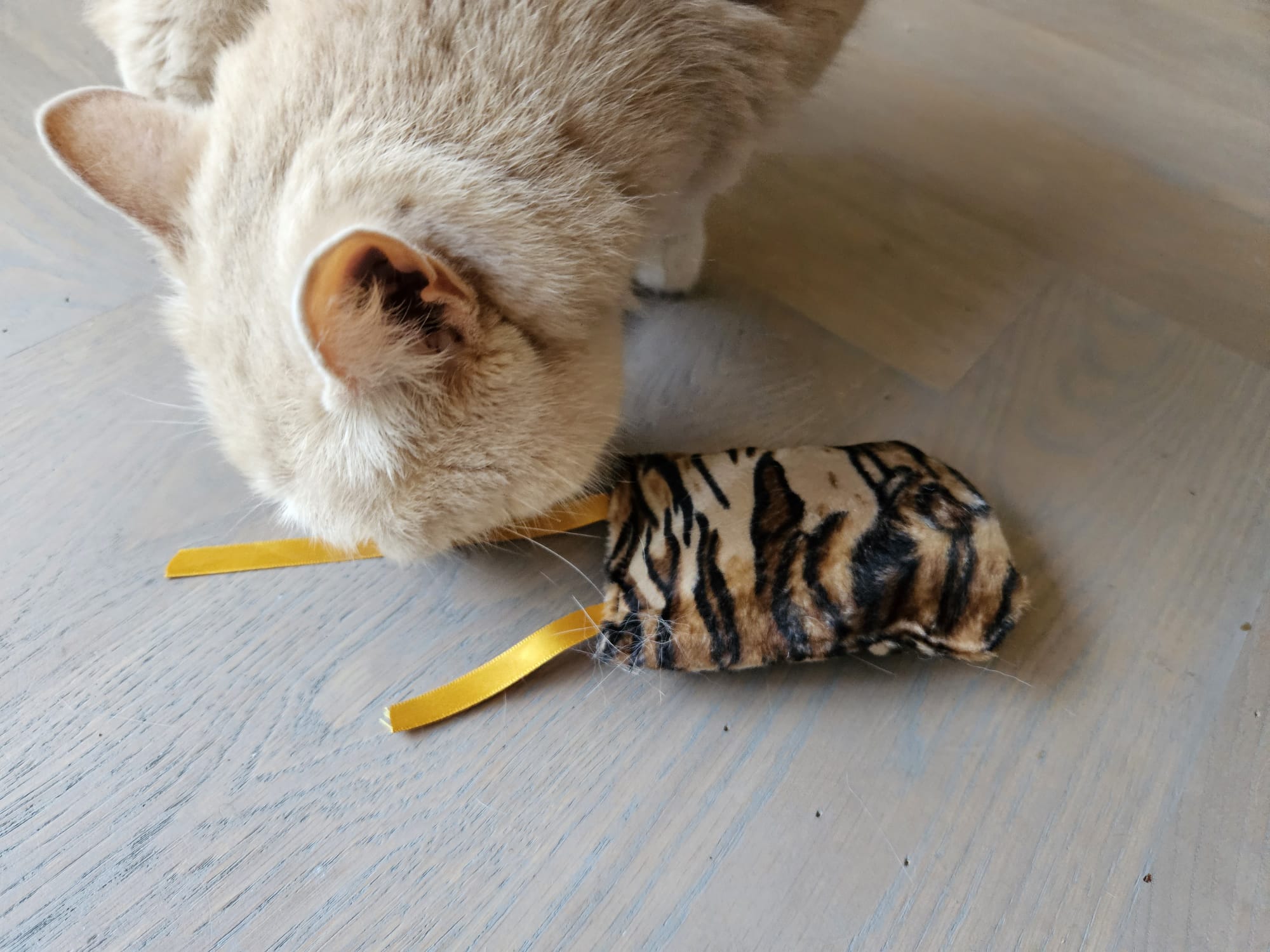 NIEUW/ Snuffelzakje  Wild animals met lintjes (gevuld met valeriaan)