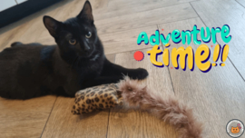 NIEUW/ Snuffelzakje  Wild animals met staart (gevuld met catnip én valeriaan)