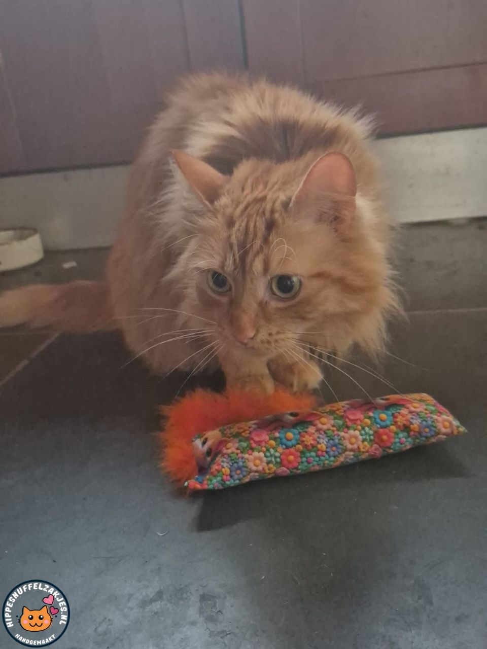 Snuffelzakje gym Garfield met oranje  staart (gevuld matatabi)