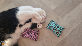 NIEUW/ 2 Snuffelzakjes Vrolijke Panter (gevuld met catnip én valeriaan)