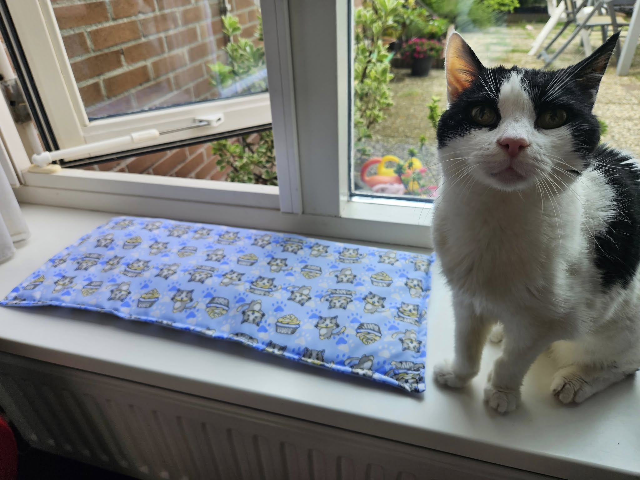 Vensterbankkussen Cupcake Cat  26x60 (gevuld met catnip én valeriaan)
