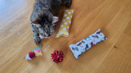 2 delige set snuffelzakjes gym Verrassing (gevuld met catnip ) + 2 cadeautjes