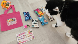 🏆 BESTSELLER | Kennismakingsset Snuffelzakjes voor Katten 6 verschillende geuren + GRATIS Geurentestkaart