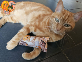 Snuffelzakje gym Kat – Rode kattenprint (Handgemaakt met Matatabi)