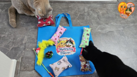 🏆 BESTSELLER | 7-delige Mystery Bag voor Katten 🎁 7 verrassingen waar katten dol op zijn!🐱 🏆 BESTSELLER | 7-delige Mystery Bag voor Katten 🎁 7 verrassingen waar katten dol op zijn!🐱