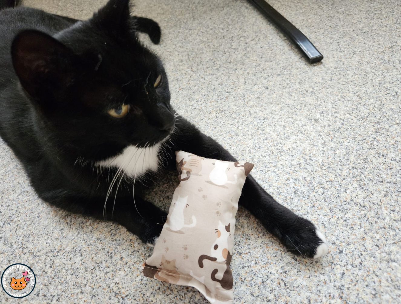 NIEUW/ Snuffelzakje prachige Kat (gevuld met valeriaan)