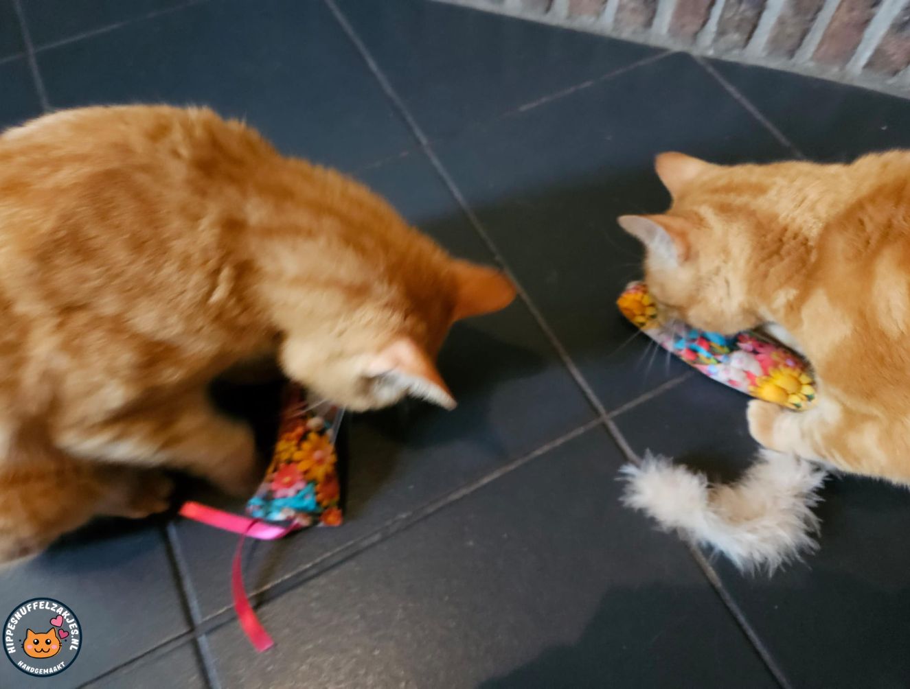 NIEUW/ Snuffelzakjeset Vrolijke kat met staart en lintjes (gevuld met catnip én  matatabi)