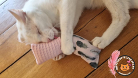 Snuffelzakje Gym Bella (gevuld met catnip én valeriaan)
