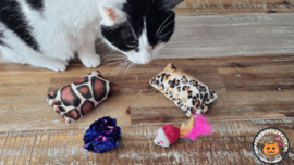 DAGACTIE 2 delige set snuffelzakjes Verrassing Wild animals (gevuld met valeriaan) + 2 cadeautjes