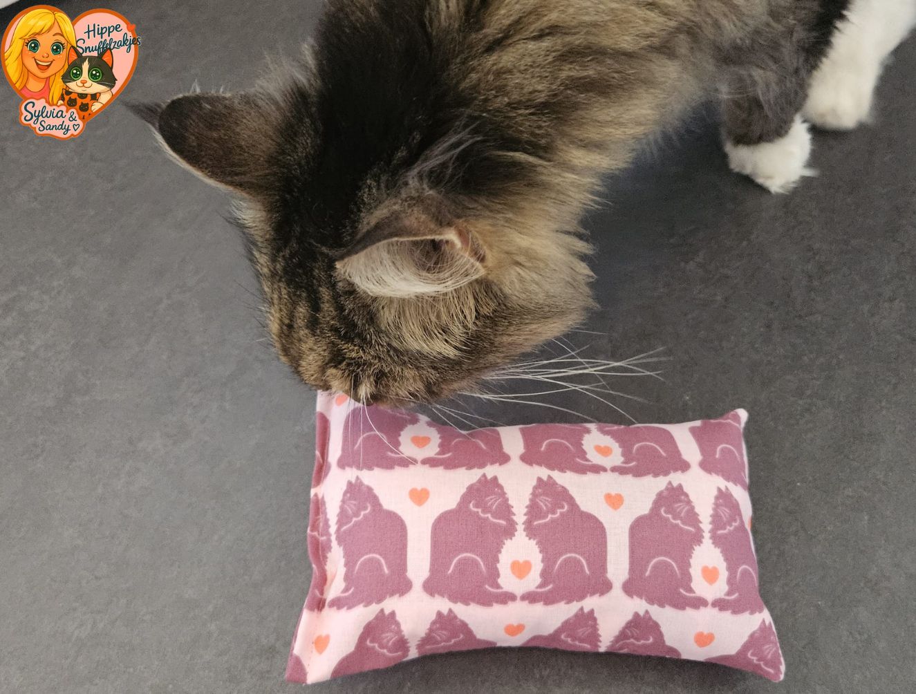 NIEUW/ Slaap/speelkussen Verliefde katten (gevuld met matatabi)