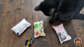 3 delige set snuffelzakjes verrassing (gevuld met catnip)+ 1 cadeautje