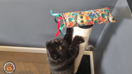 NIEUW/ Snuffelzakje gym Happy cats met lintjes (gevuld met matatabi)