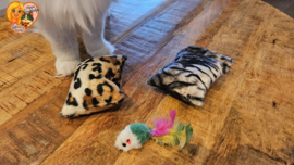 ❤️ MEEST VERKOCHT | Verrassingsset voor Katten 2 Snuffelzakjes Wild animals+ Cadeautje | Geurexplosie Editie